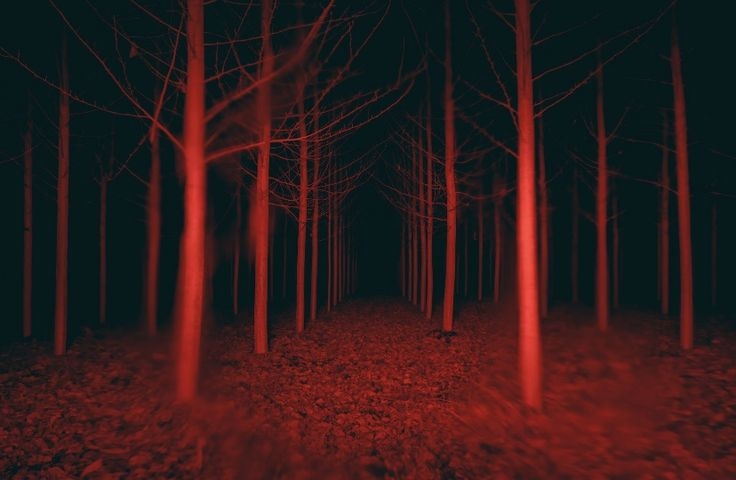 Cover photo