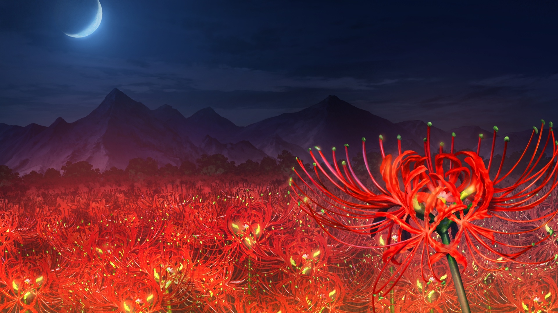 Cover photo