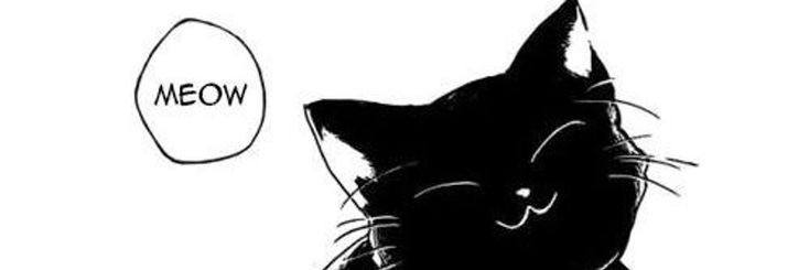 Cover photo