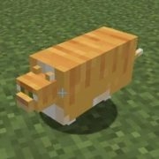 Bulkach