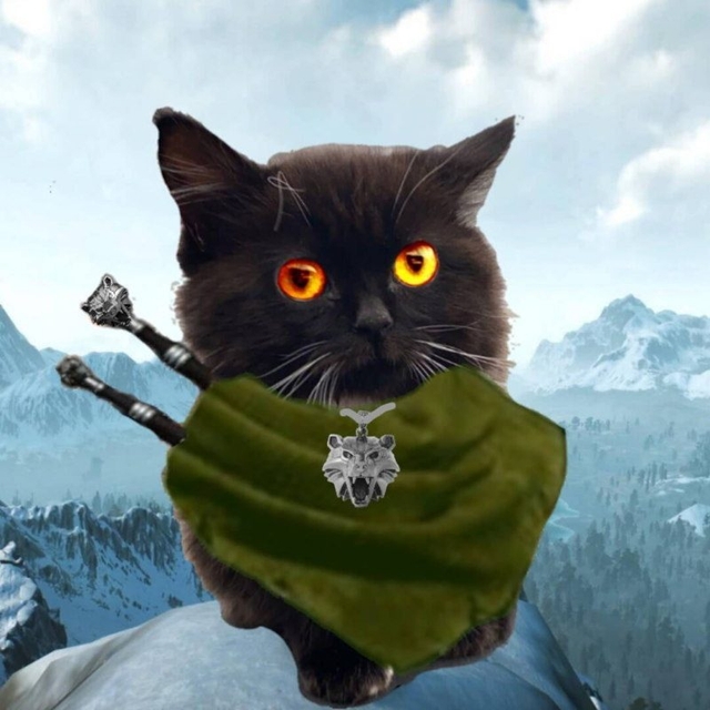 user avatar