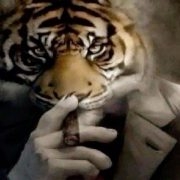 Аквинский