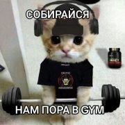 yrdrsl