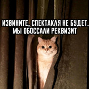 X_oncheeeck