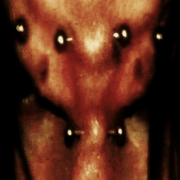 sxnq