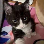 mqwhz
