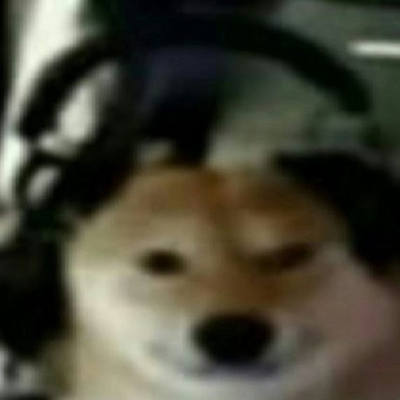 user avatar