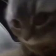 prosto_danya_mukha