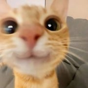 Trilix