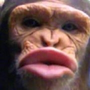 gapop