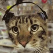 NilZzzZzzZzzam