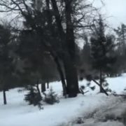 kapacik