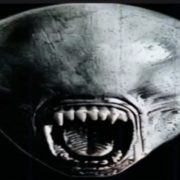 ~~4N537~~