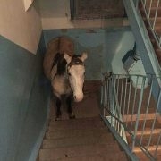 ксюня)
