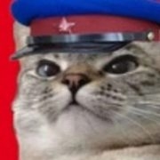 Товарищ ещё не майор