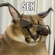 ohhnosempai