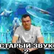 risazatvorchestvo