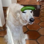 еф