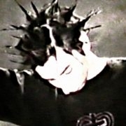 reikeri
