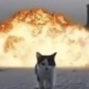 pwert.meow