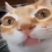 FaroX