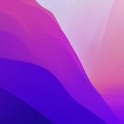 zmlsag