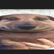 balast_