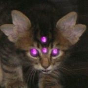 SSS+NYA