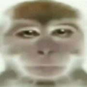 know all ru shit
