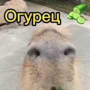 Malchik_1