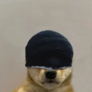 unccle