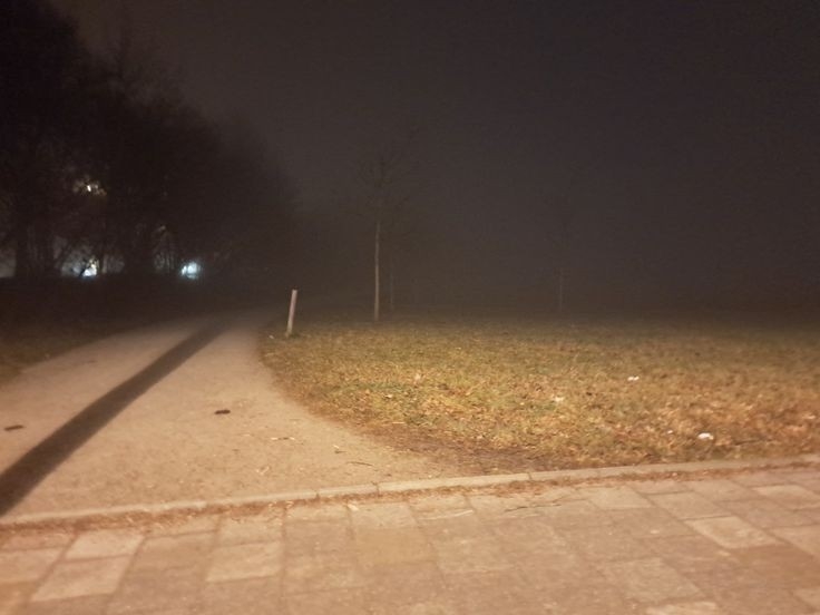 Cover photo