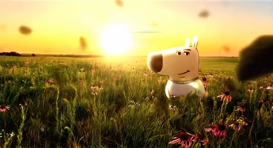 Cover photo