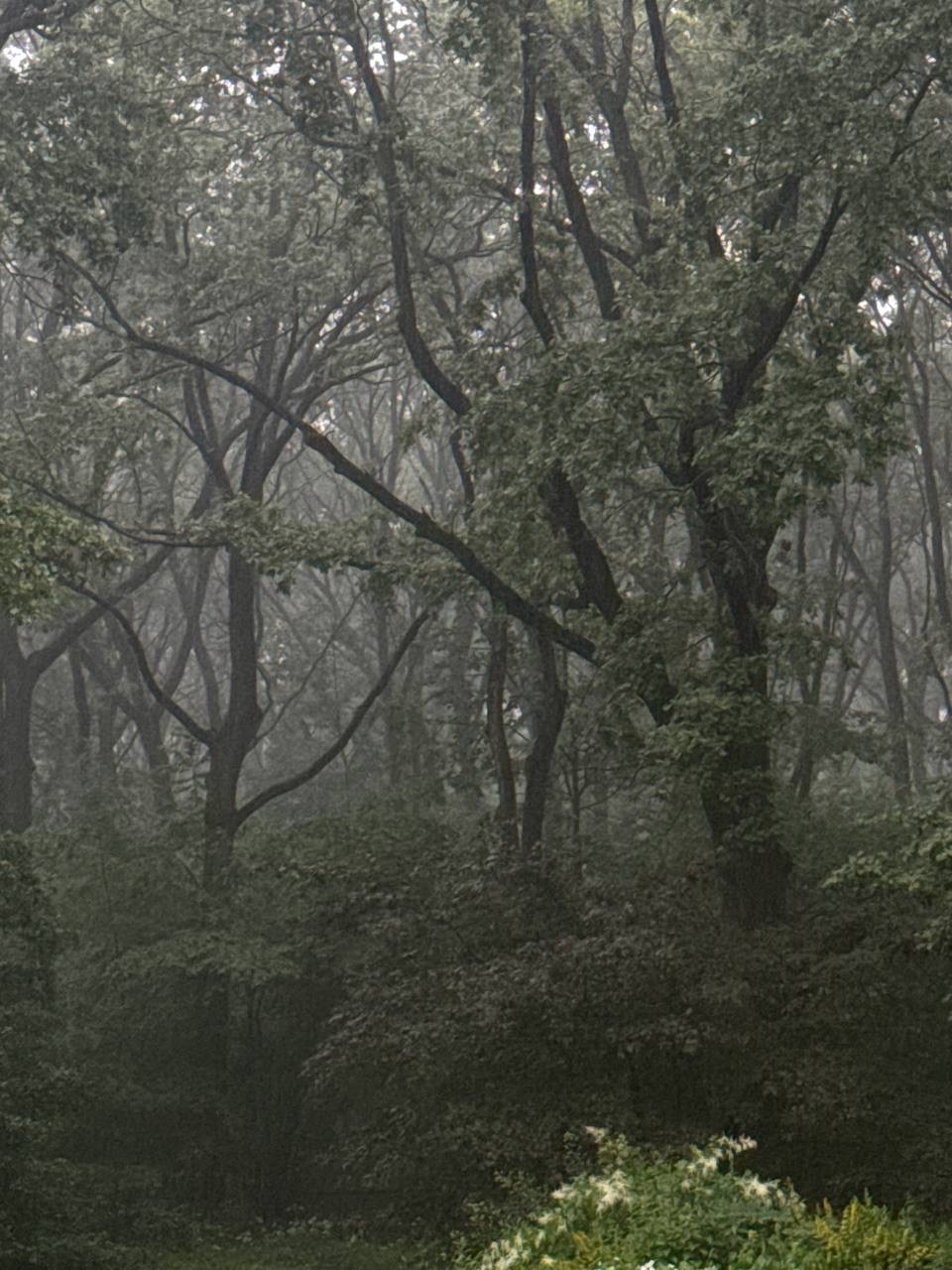 Cover photo