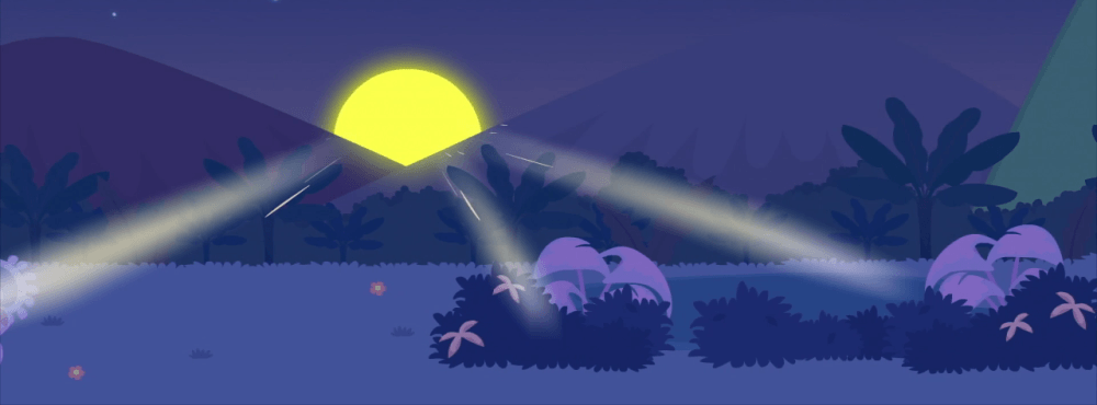 Cover photo