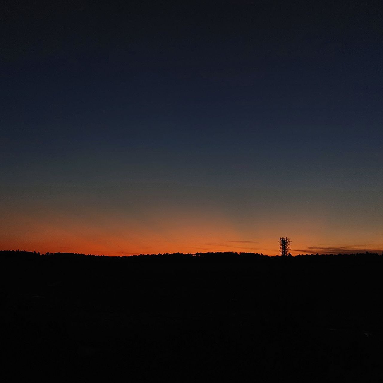 Cover photo