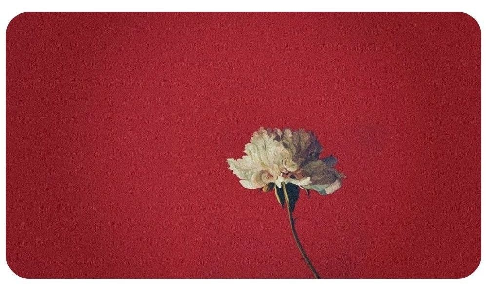 Cover photo
