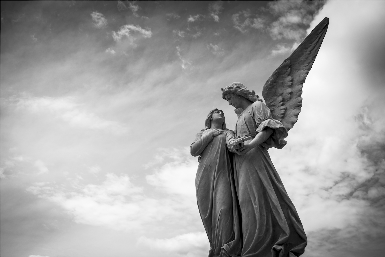 Cover photo