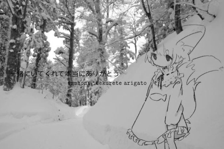 Cover photo