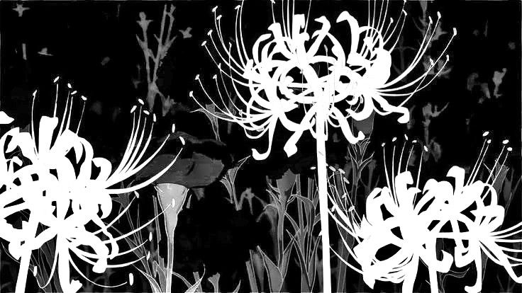 Cover photo