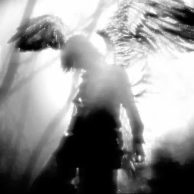 Cover photo
