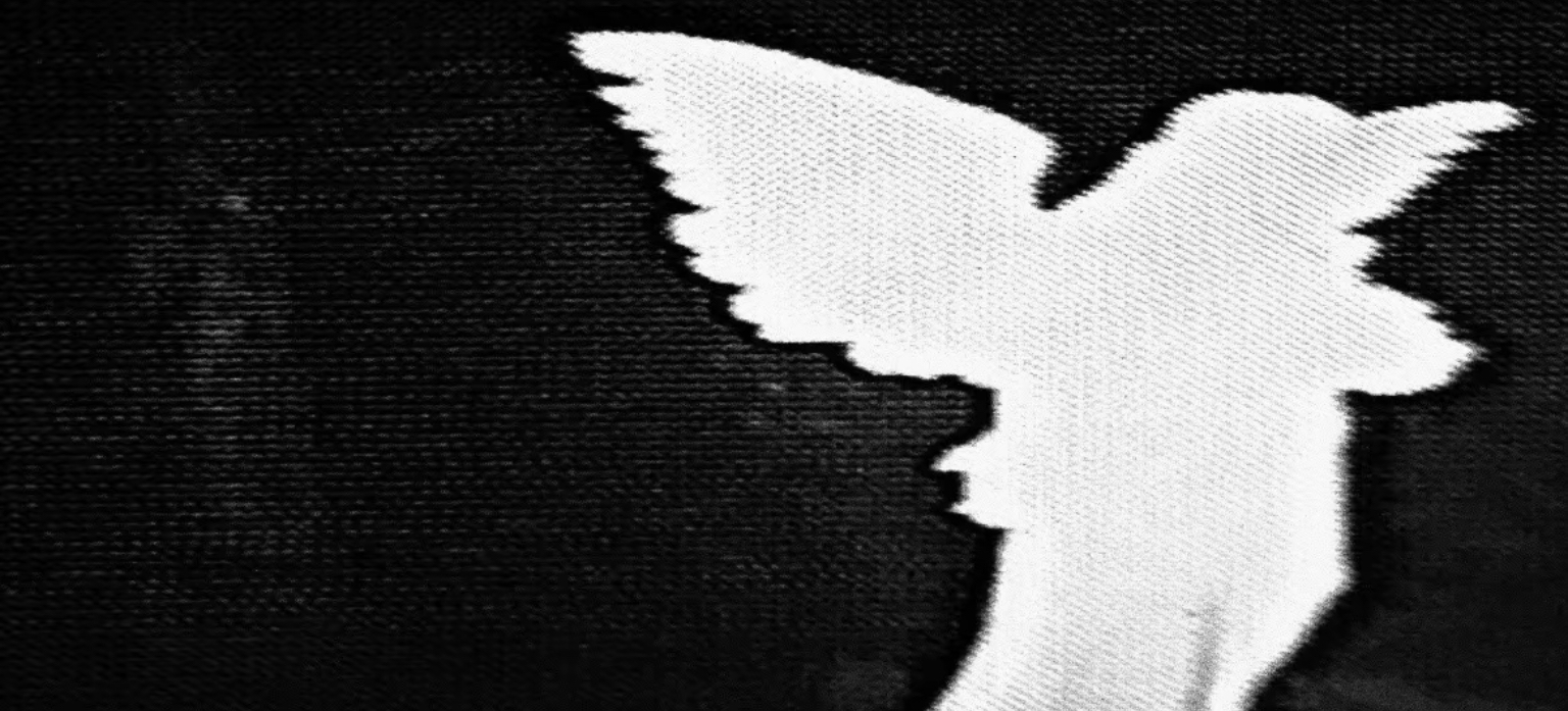 Cover photo