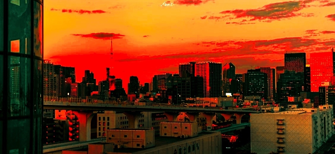 Cover photo