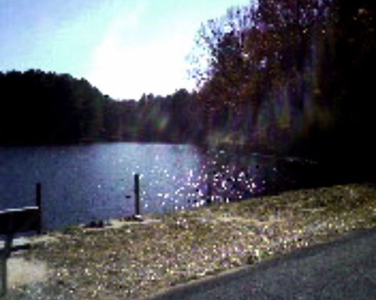 Cover photo