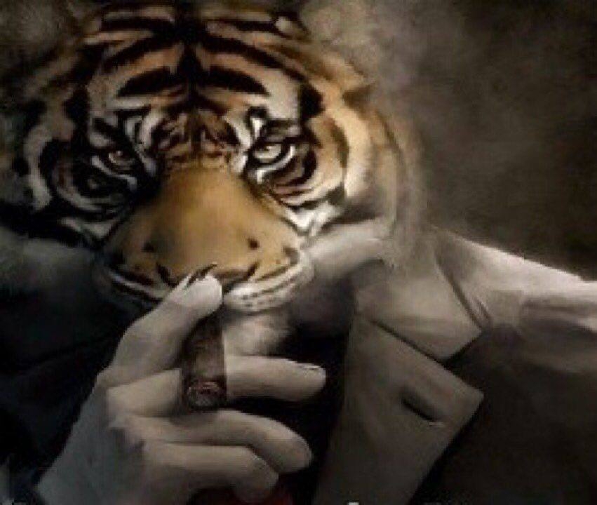 Cover photo