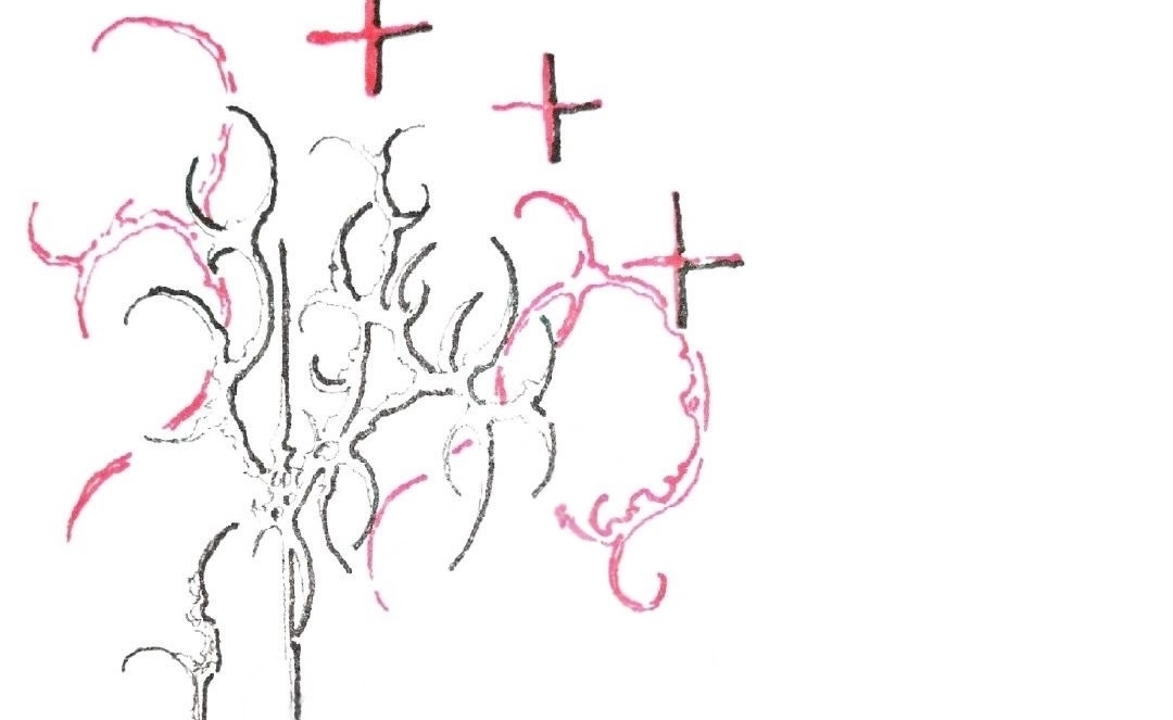 Cover photo