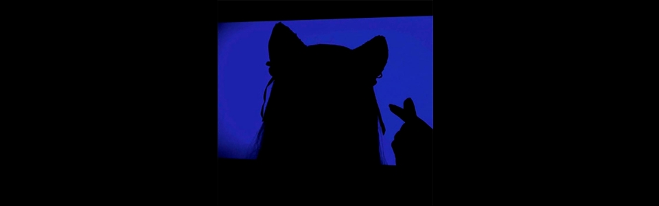 Cover photo