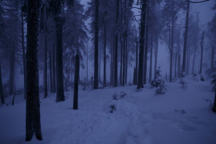 Cover photo