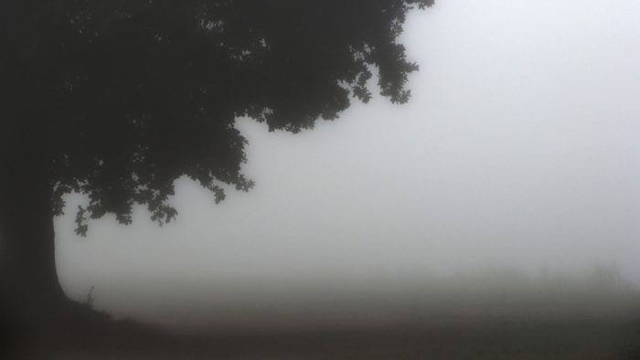 Cover photo