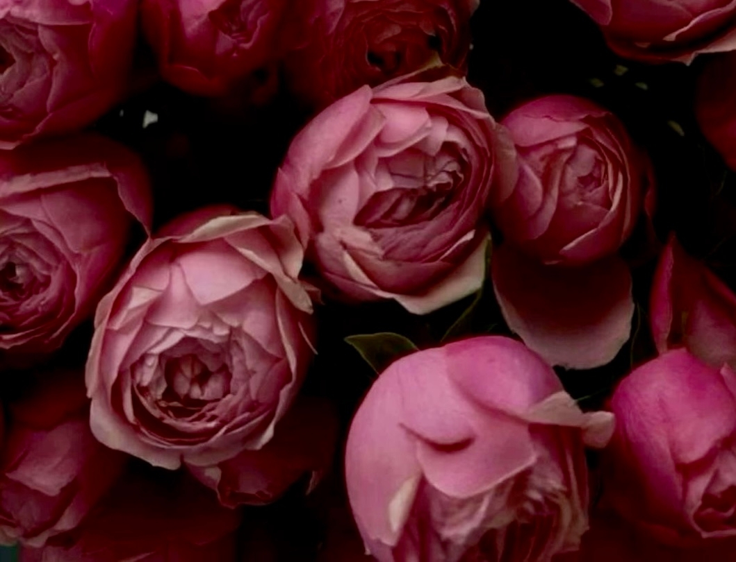 Cover photo
